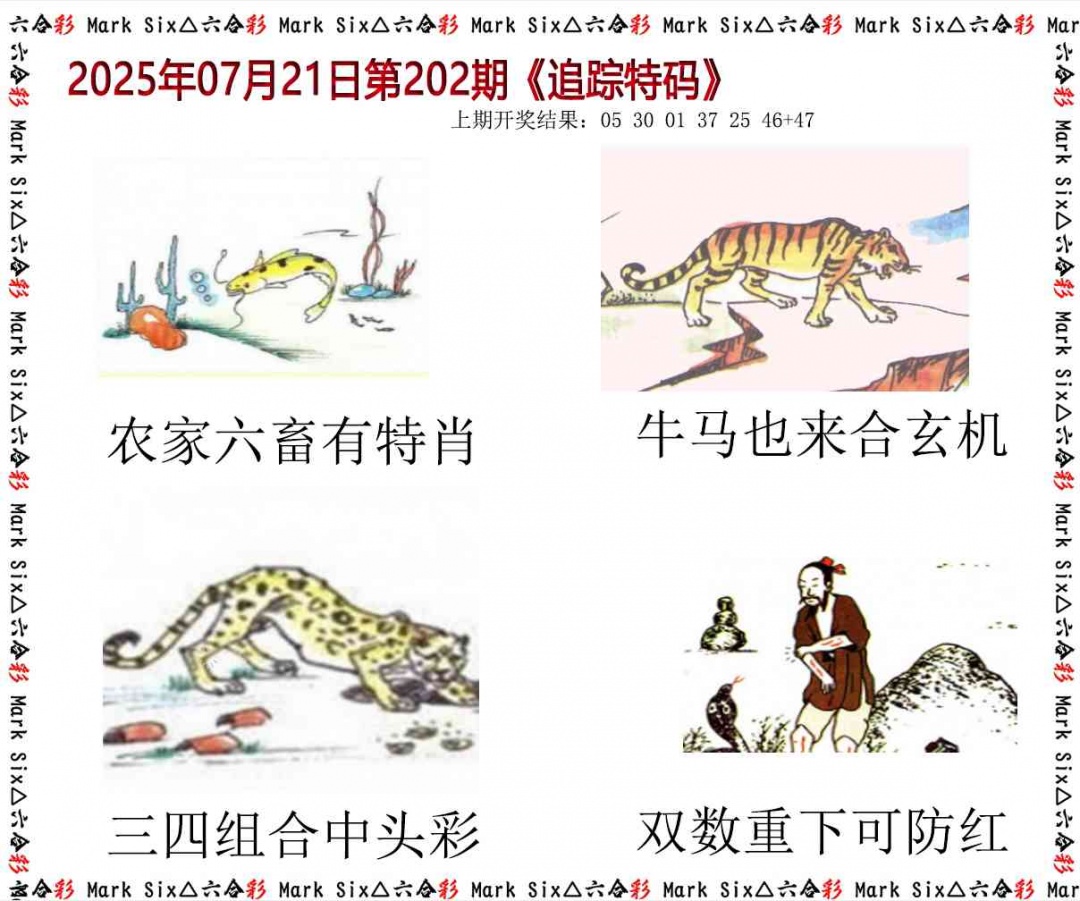 202期追踪特码[图]