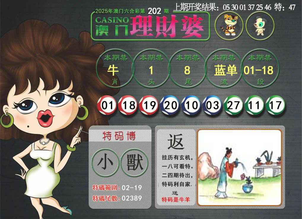 202期澳门理财婆[图]