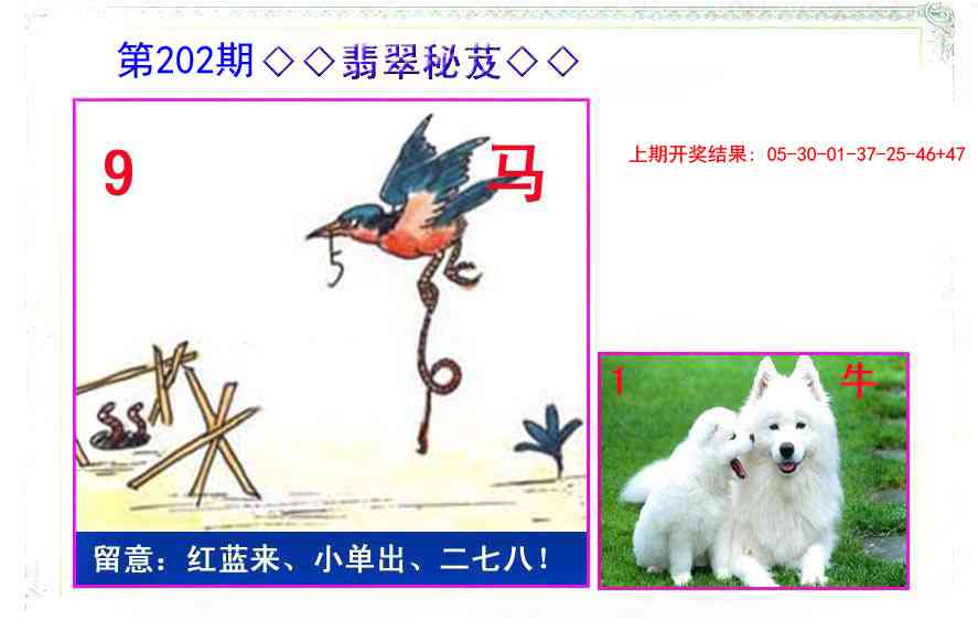 202期翡翠报[图]