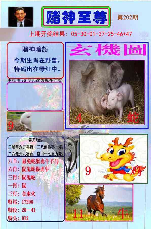 202期赌神至尊[图]
