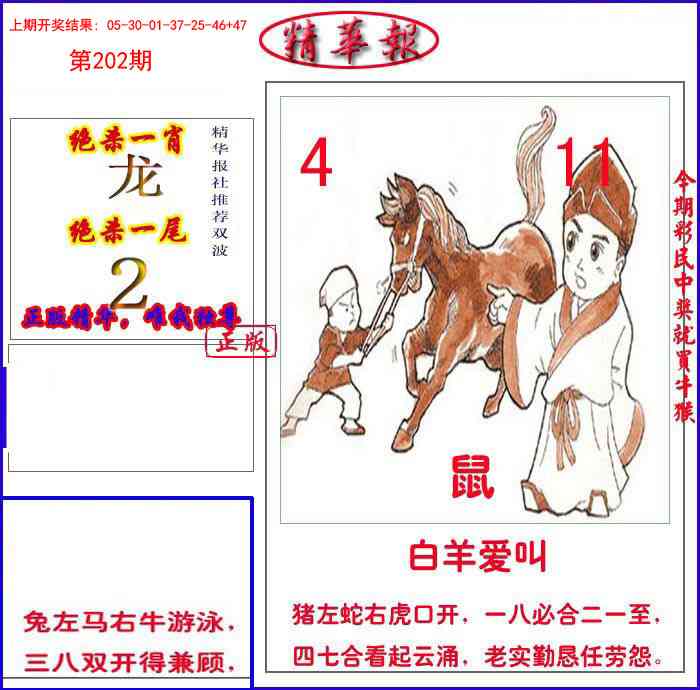 202期新精华报报[图]