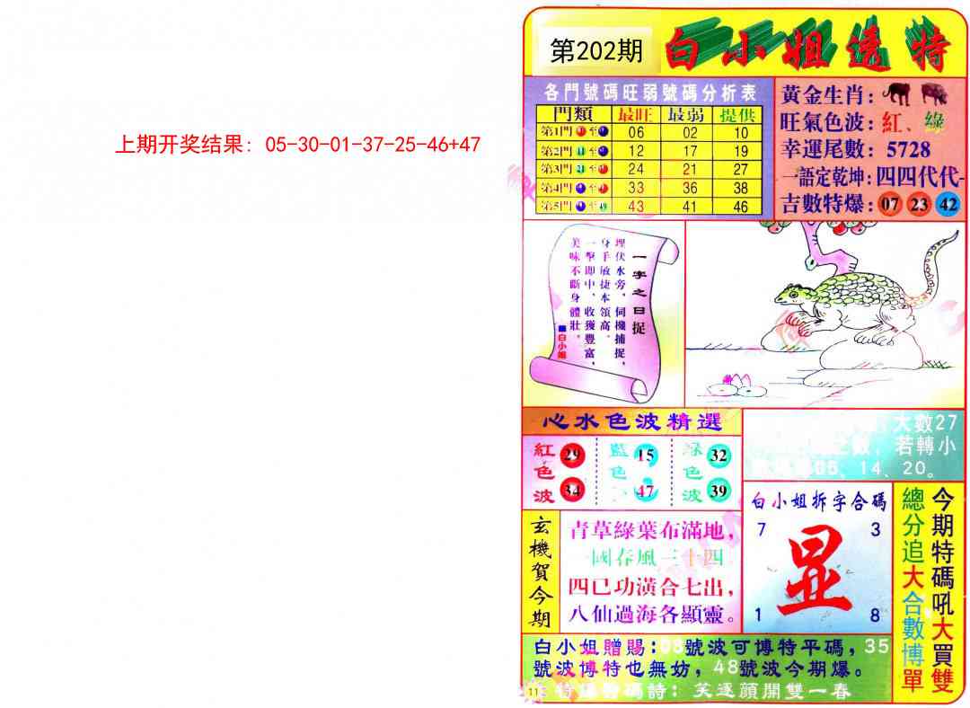 202期白小姐透特[图]