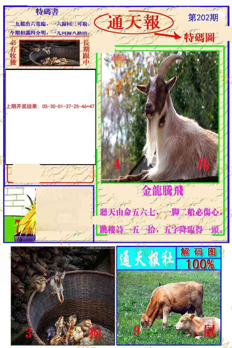 202期通天特解图[图]