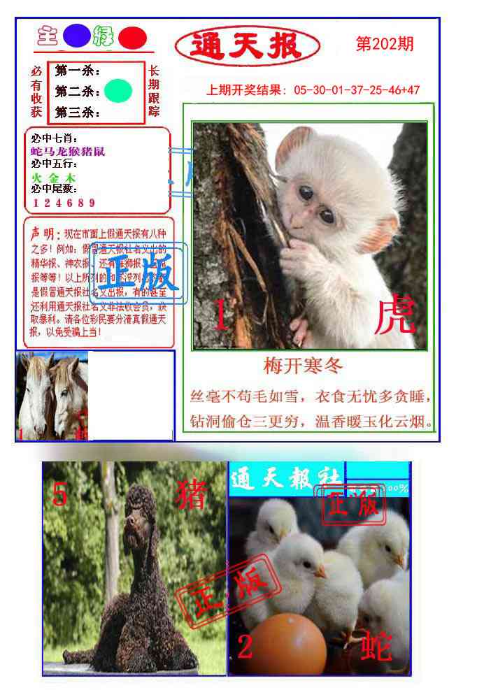 202期通天杀波图1[图]