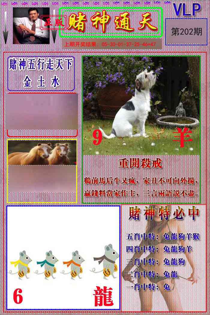 202期赌神通天报[图]