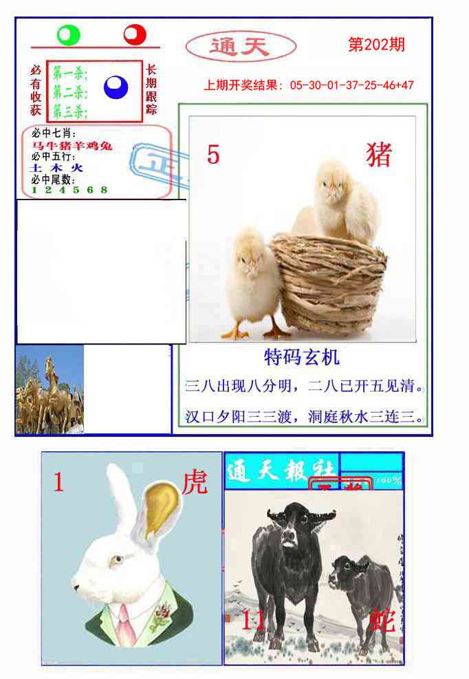 202期通天杀波图2[图]