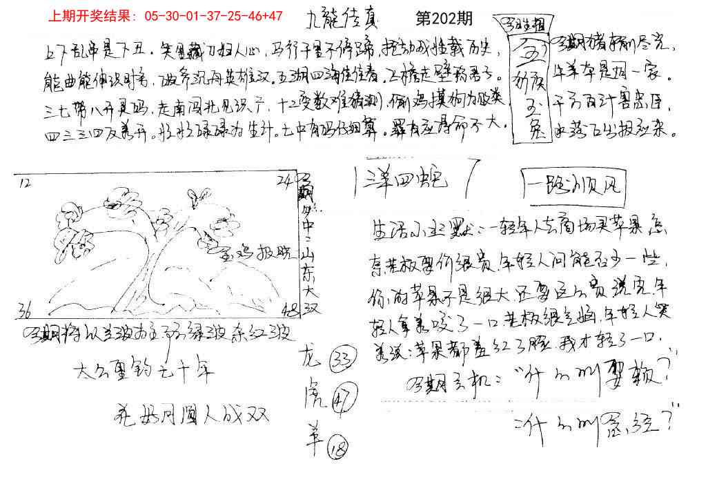 202期手写九龙内幕[图]