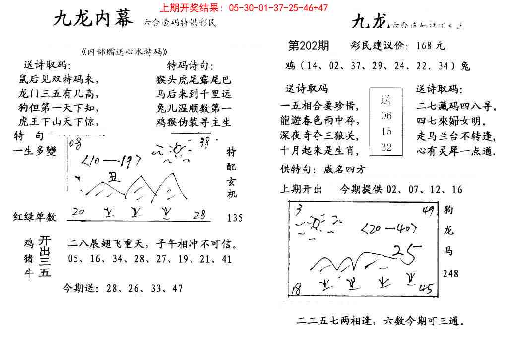 202期九龙内幕[图]
