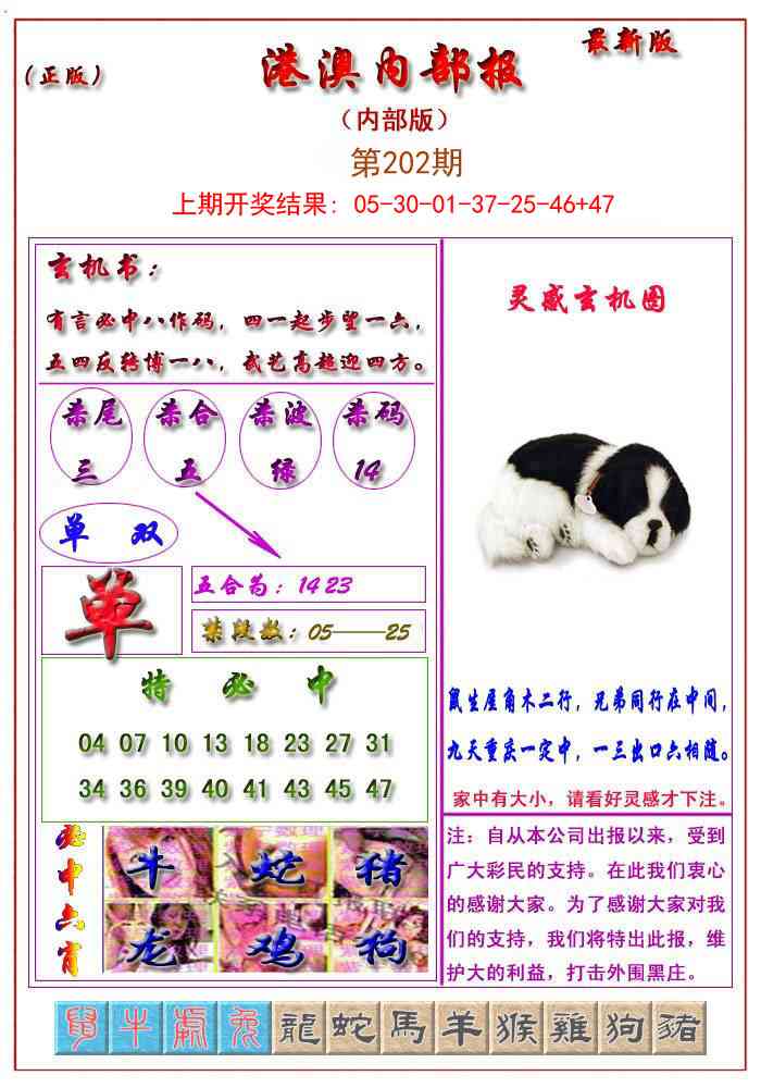 202期港澳报[图]