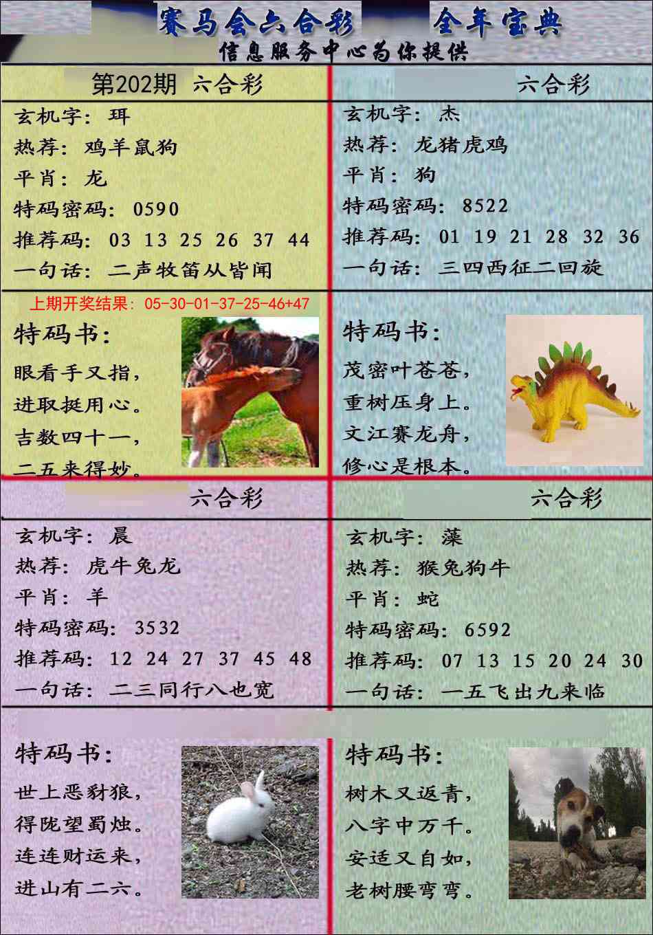 202期宝典报[图]