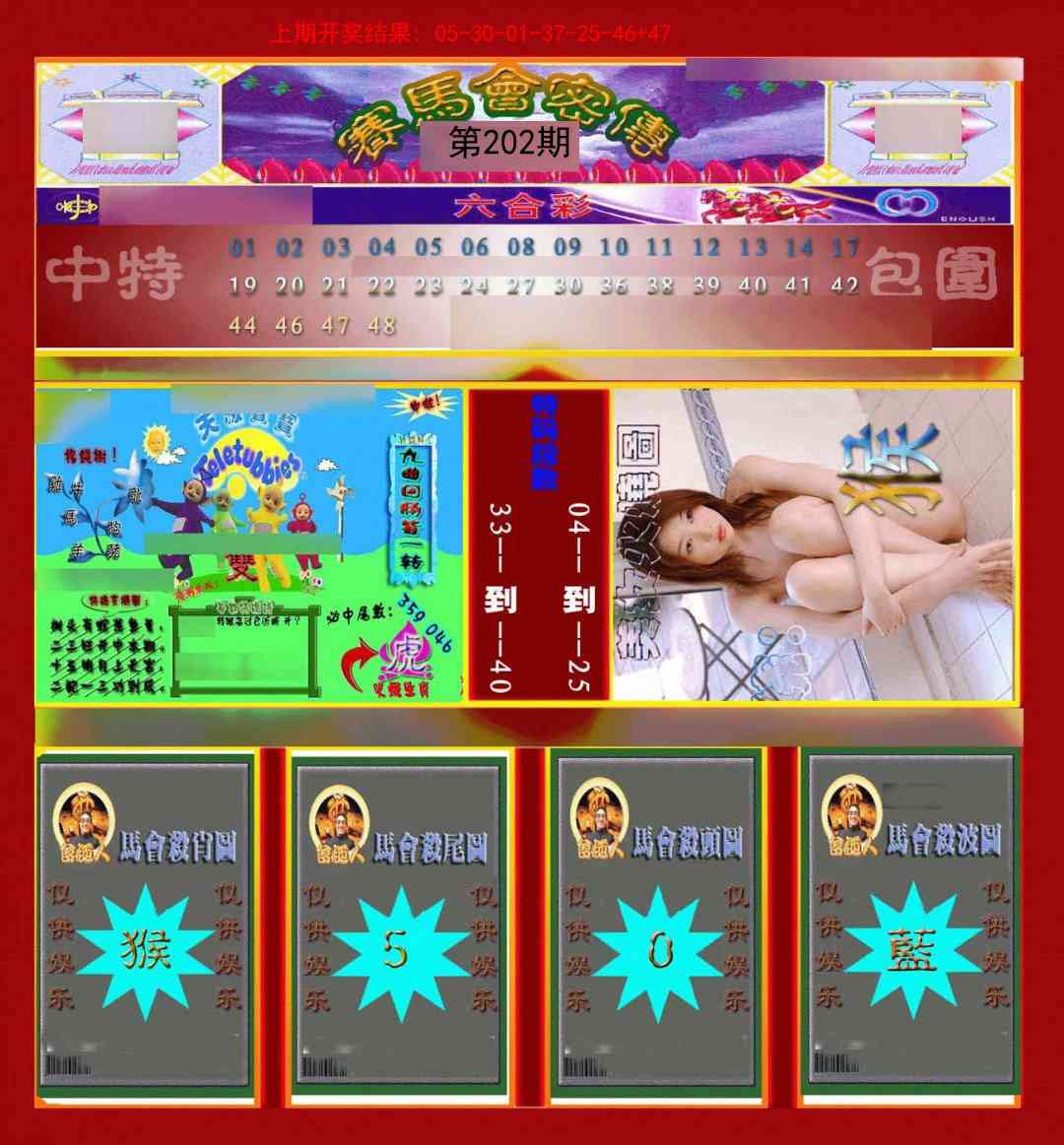 202期赛马会密传[图]