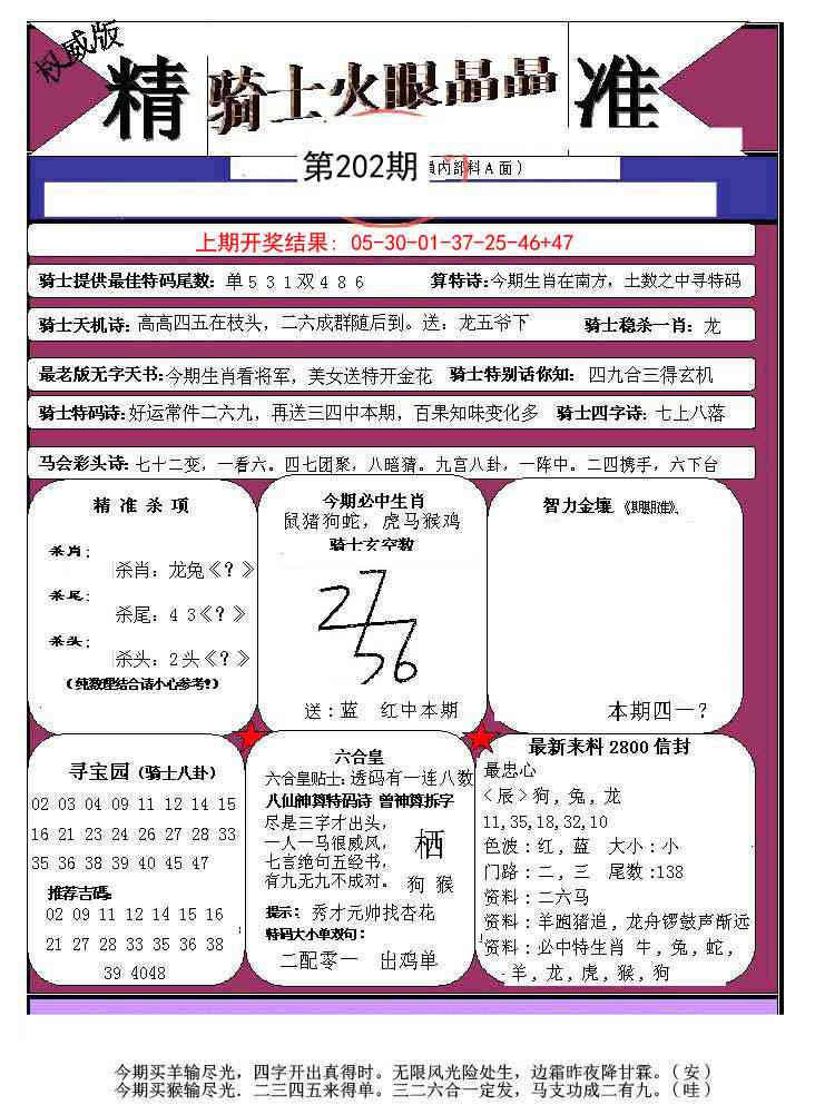 202期骑士火眼晶晶a[图]