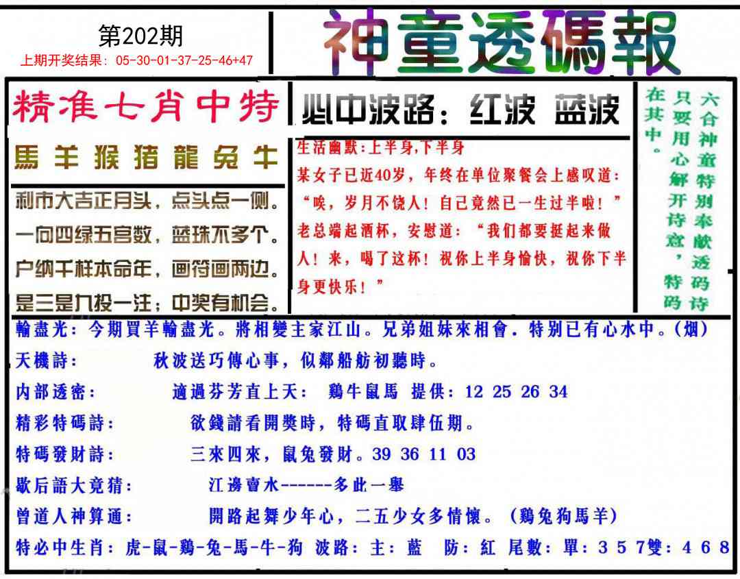 202期神童透码报[图]