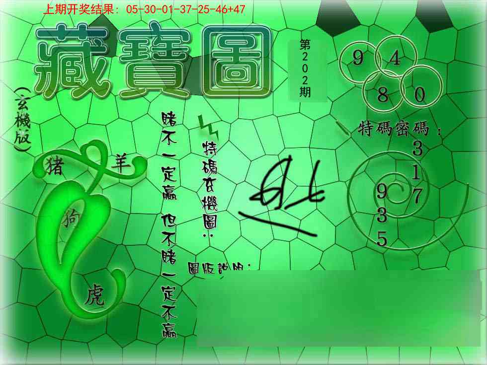202期九龍玄机报[图]