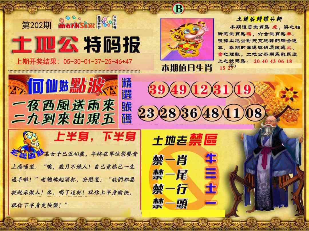 202期土地公特码报B[图]