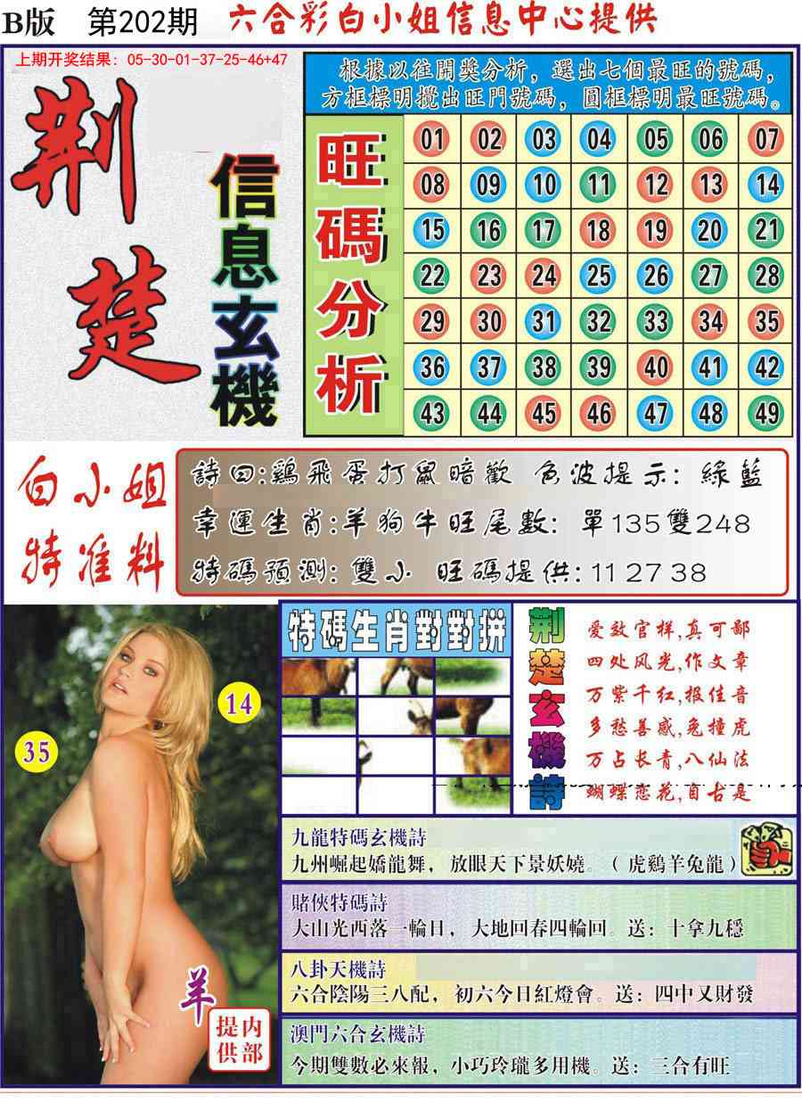 202期荆楚信息玄机B[图]