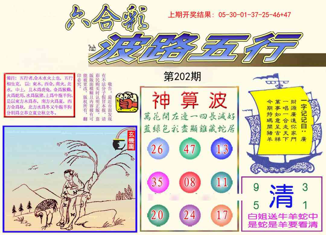 202期波路五行[图]