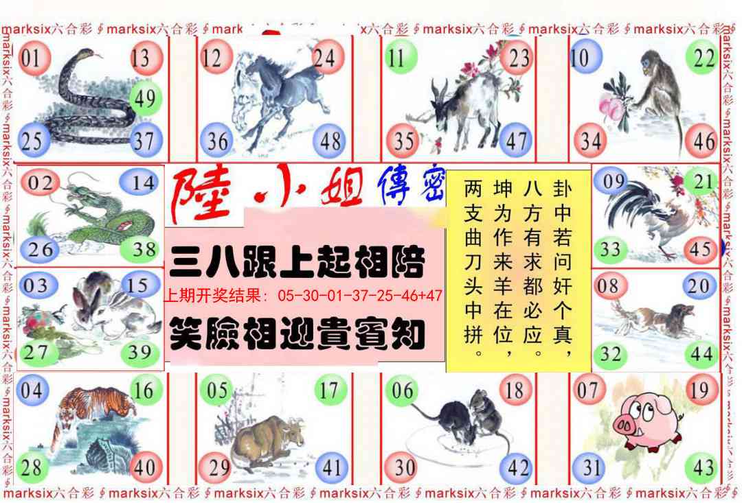 202期陆小姐传密B[图]