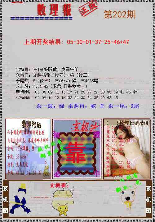 202期数理报[图]