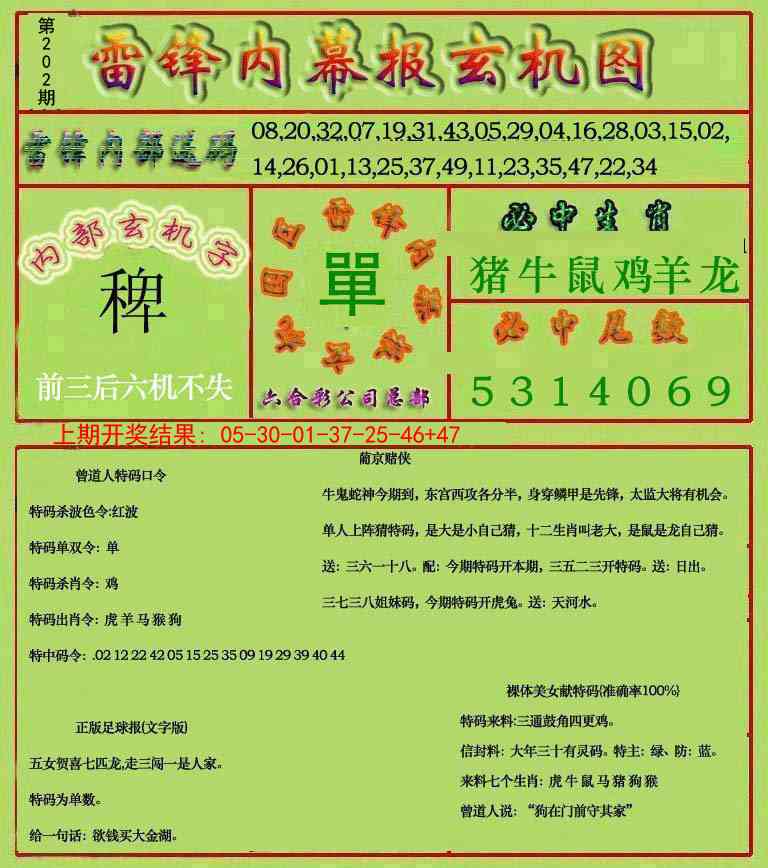 202期雷锋玄机报[图]
