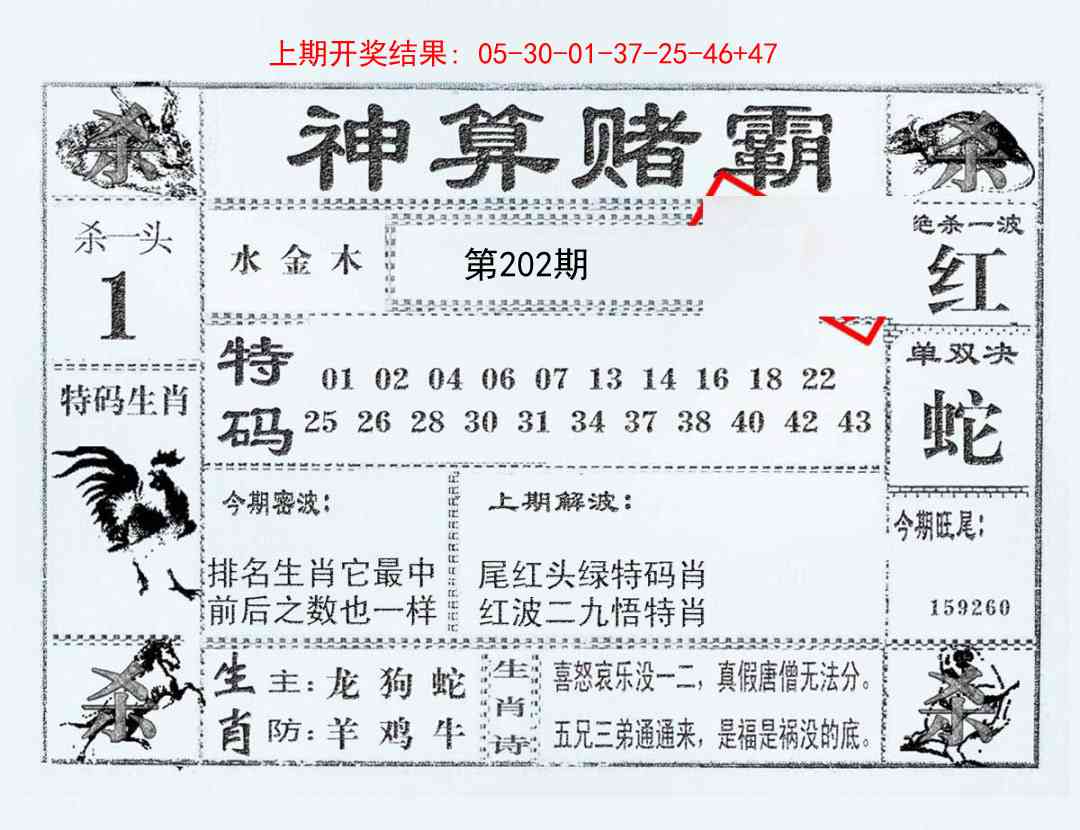 202期神算赌霸[图]