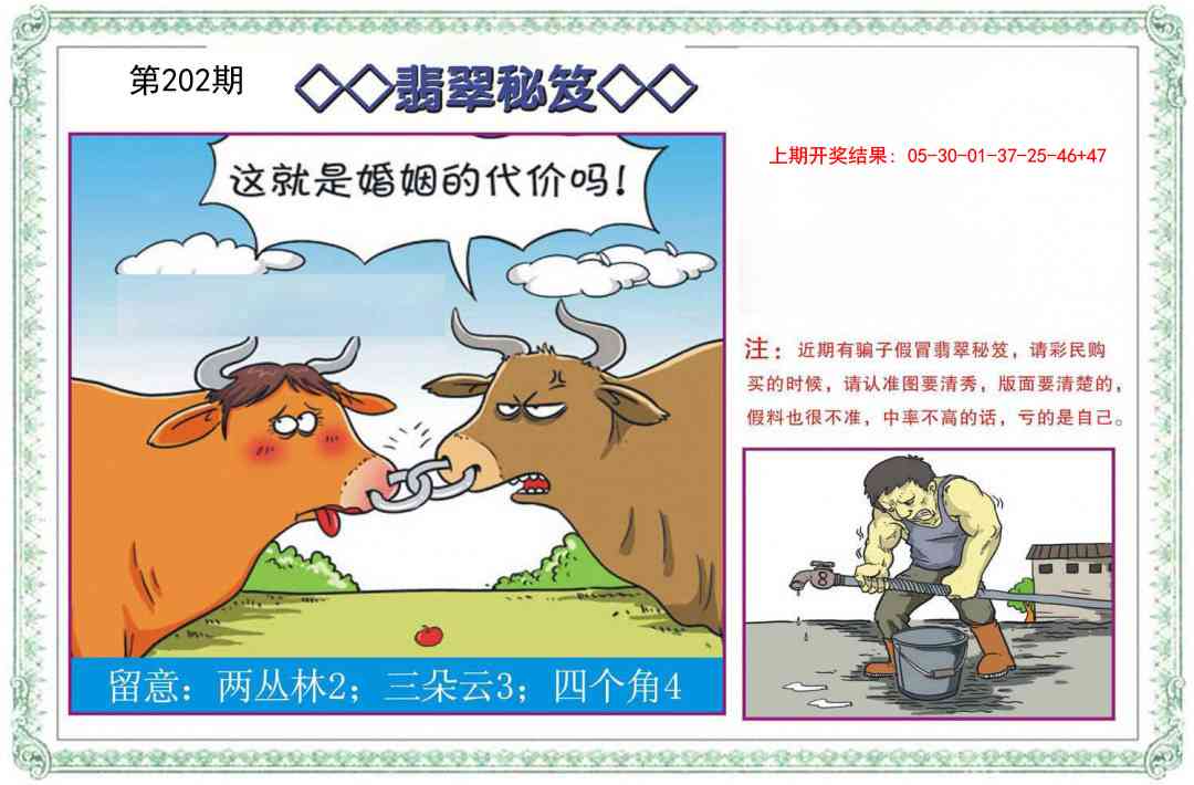 202期翡翠秘笈[图]