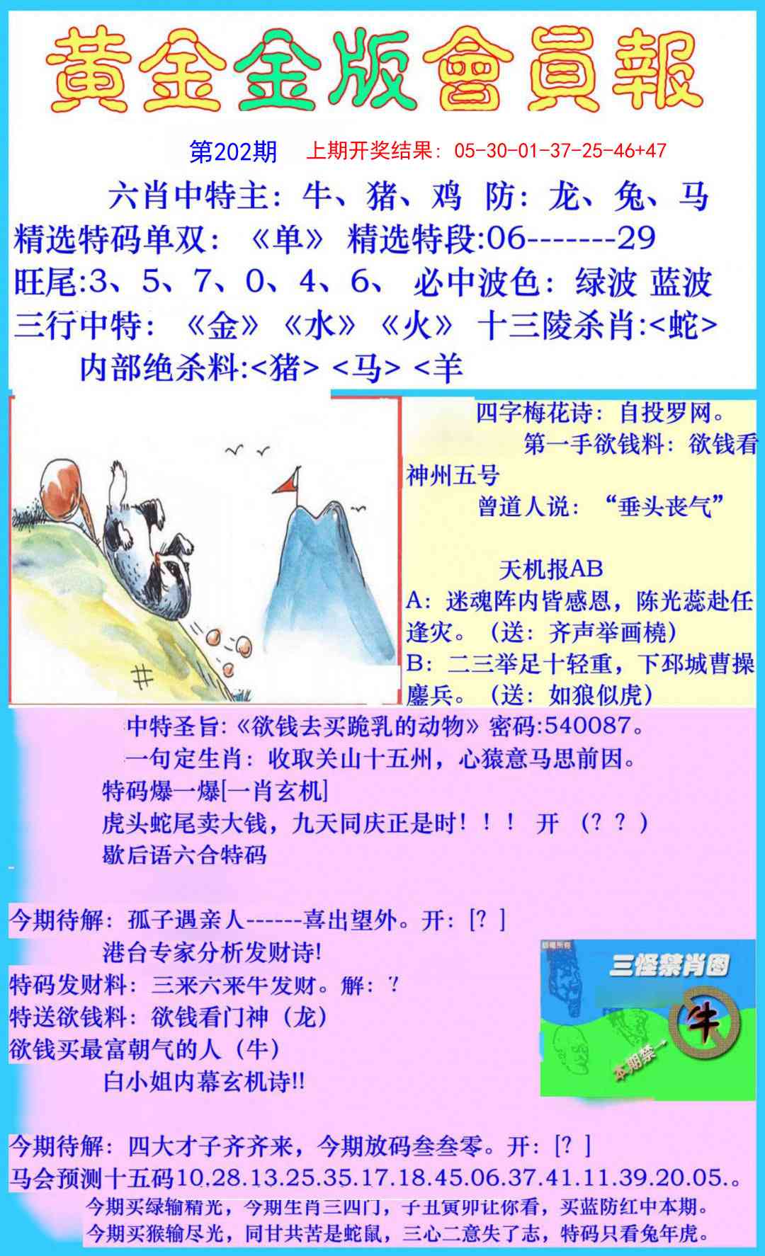 202期黄金金版会员报[图]