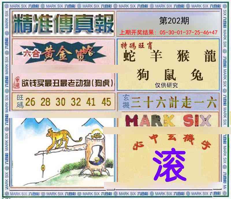 202期精准<傳真報>[图]