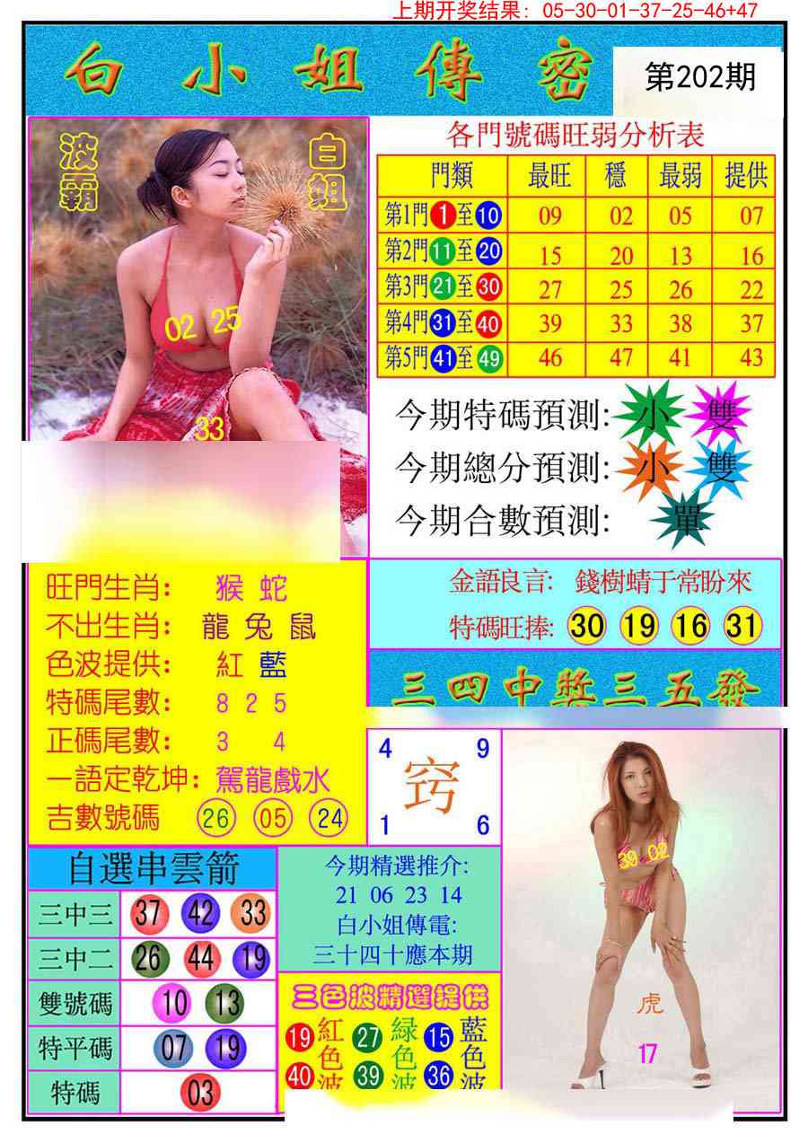 202期白小姐传密[图]