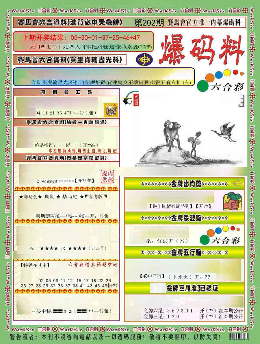 202期爆码料A)[图]