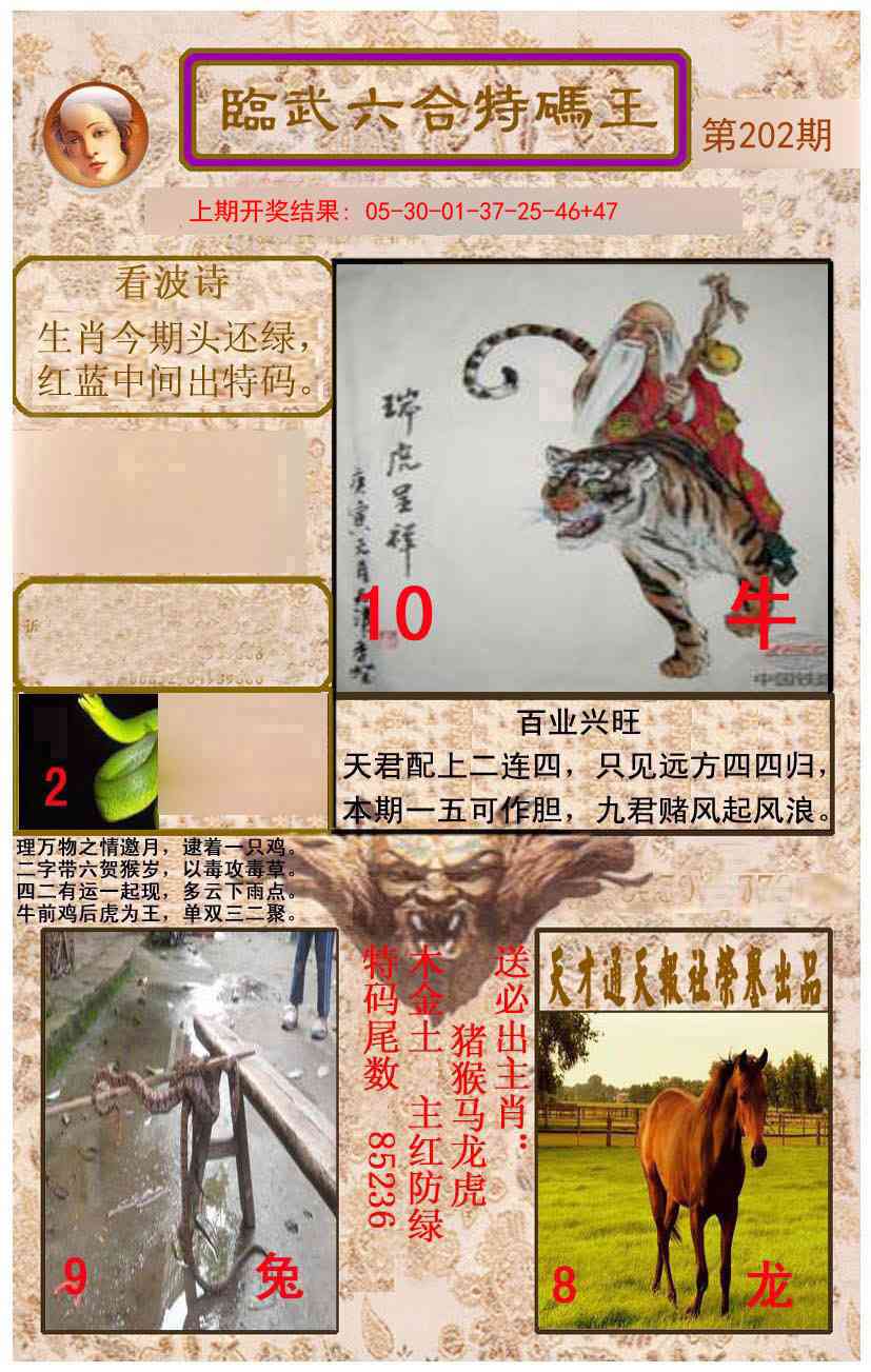 202期临武六合特码王[图]