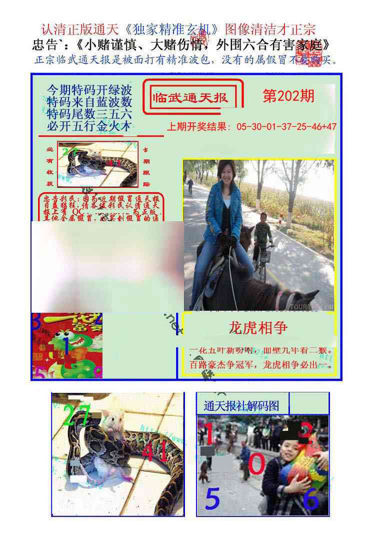 202期临武通天报[图]
