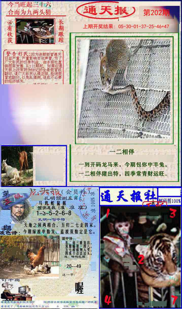 202期实力通天报[图]