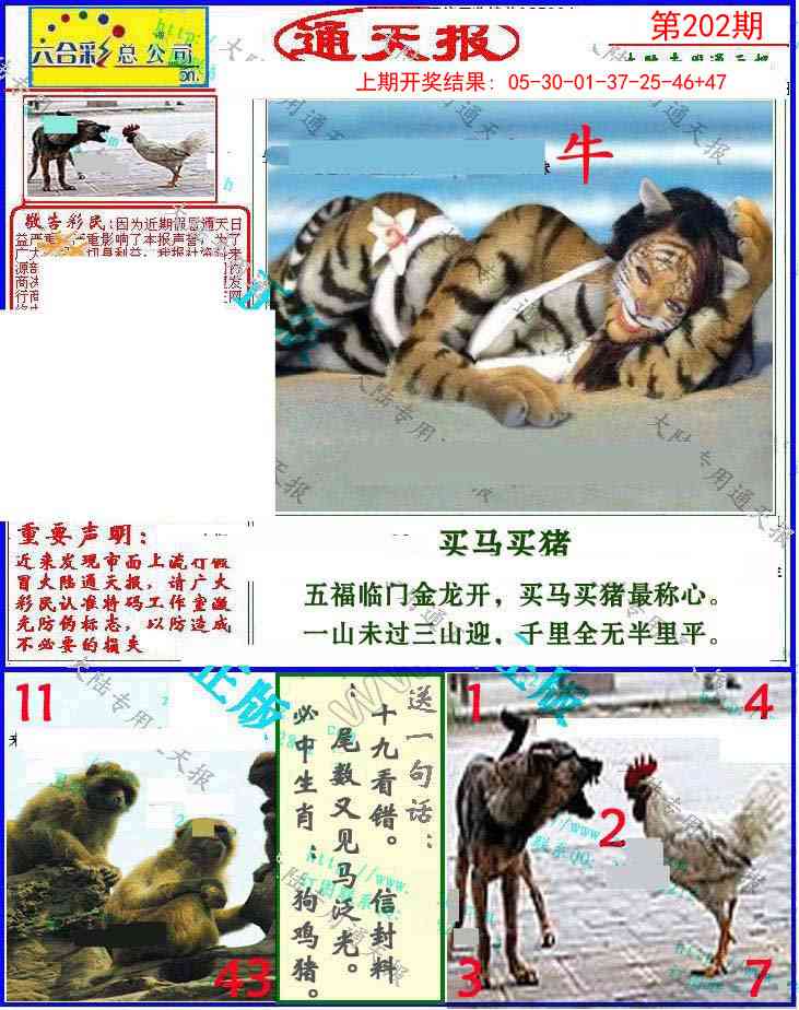 202期大陆通天报[图]