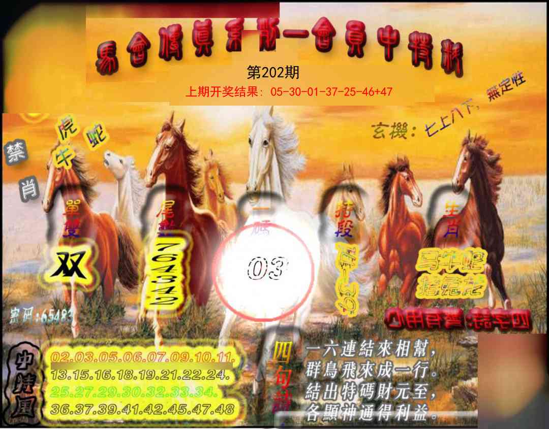 202期马会传真-会员报[图]