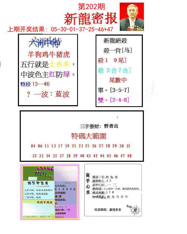 202期新龙密报[图]