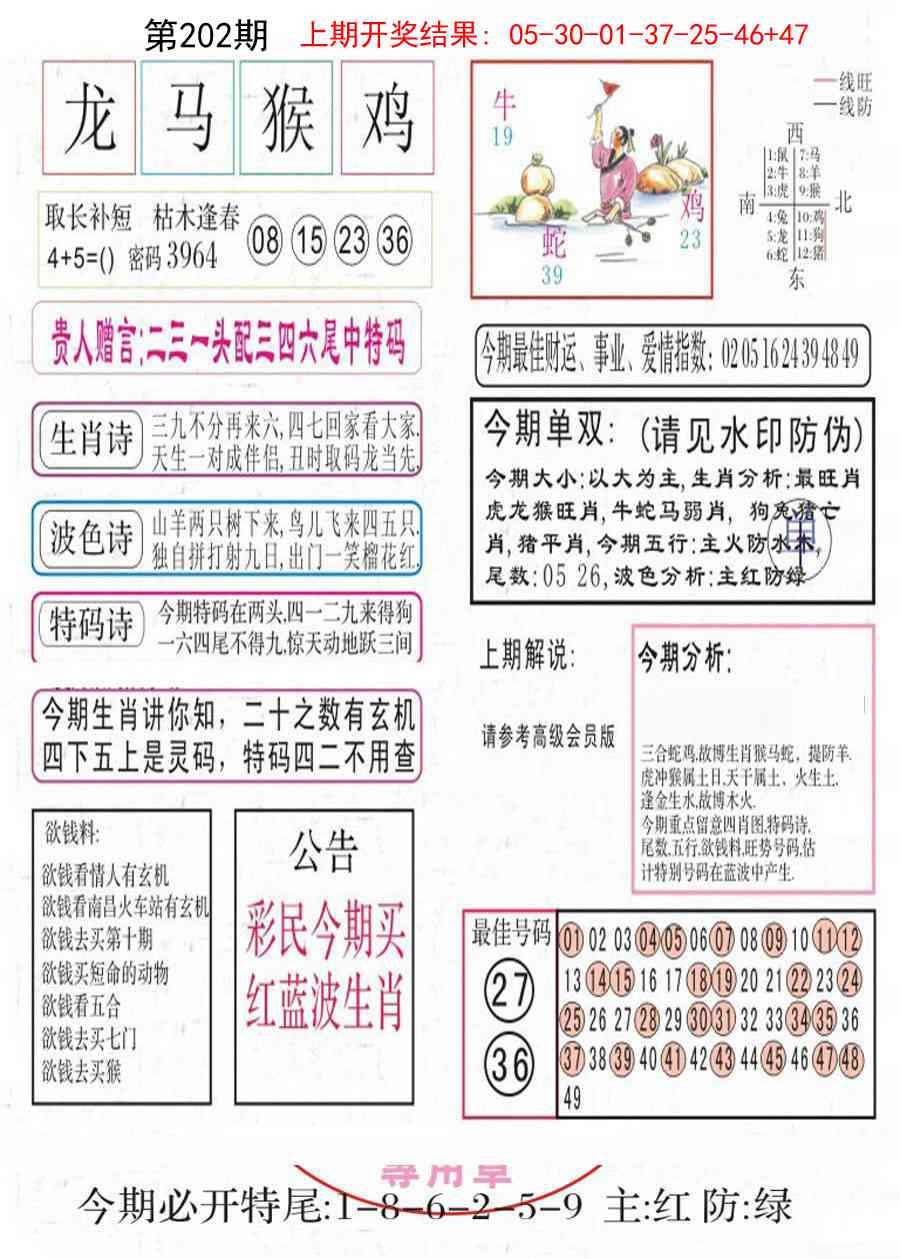 202期凤凰闲情A[图]