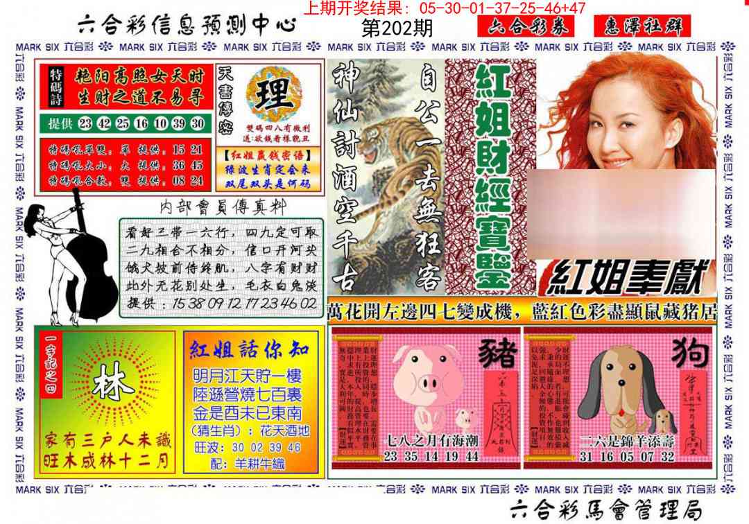 202期红姐财经宝鉴[图]