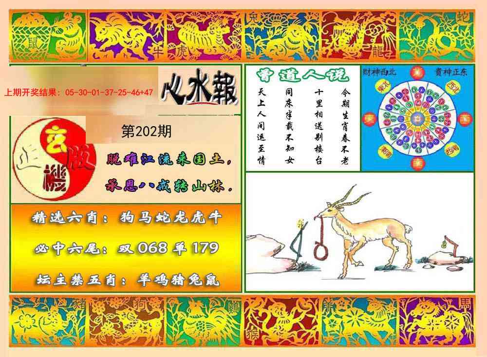 202期九龙心水报[图]