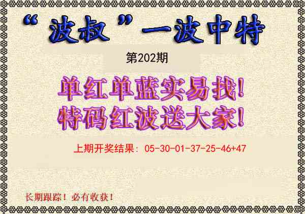 202期波叔一波中特[图]