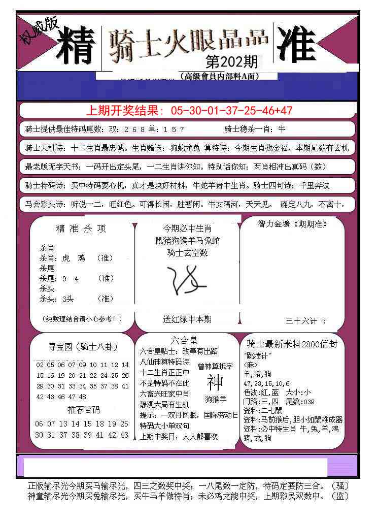 202期骑士火眼晶晶B[图]