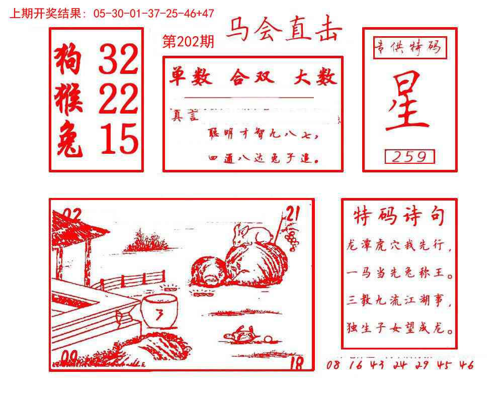 202期马会直击[图]