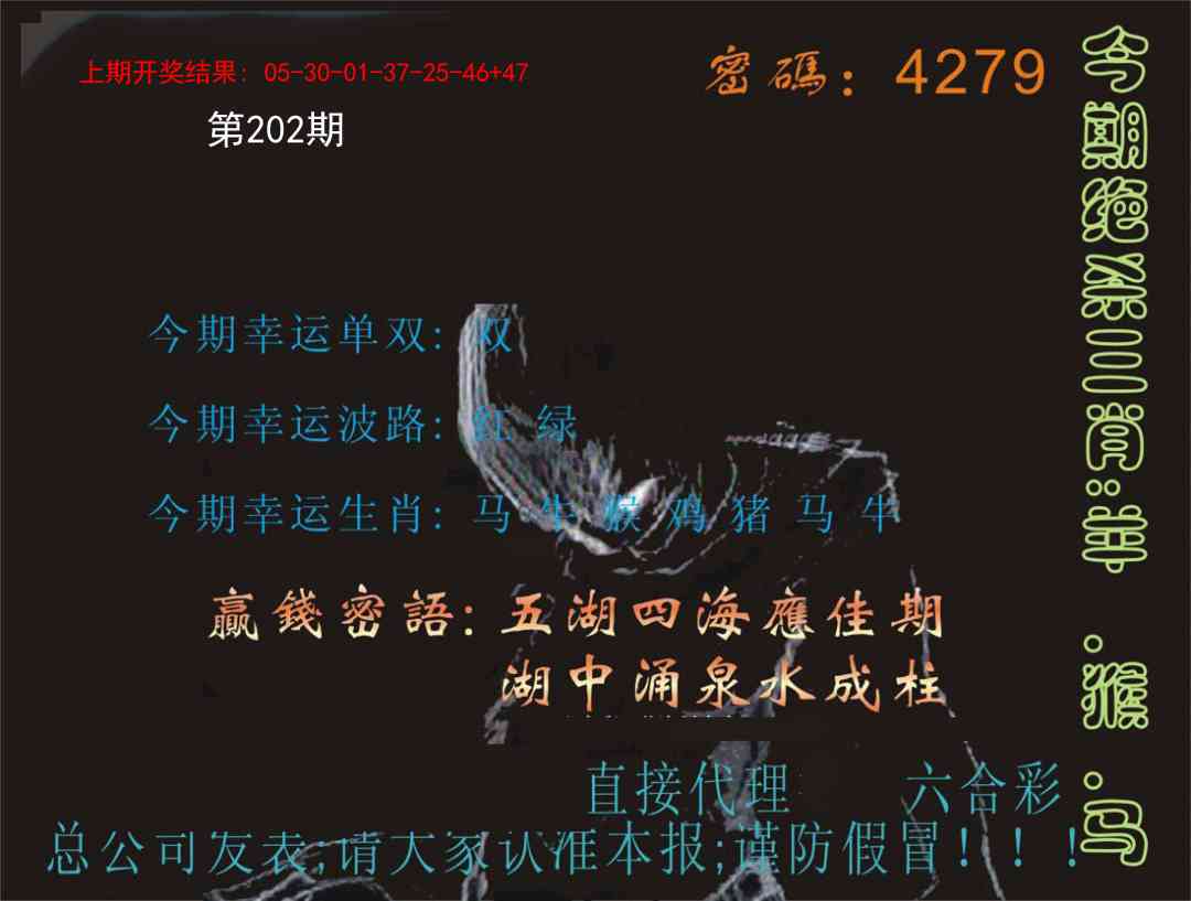 202期特码报[图]