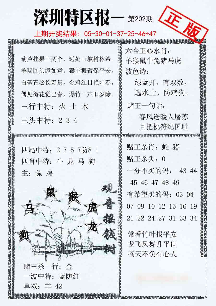 202期深圳特区报A[图]