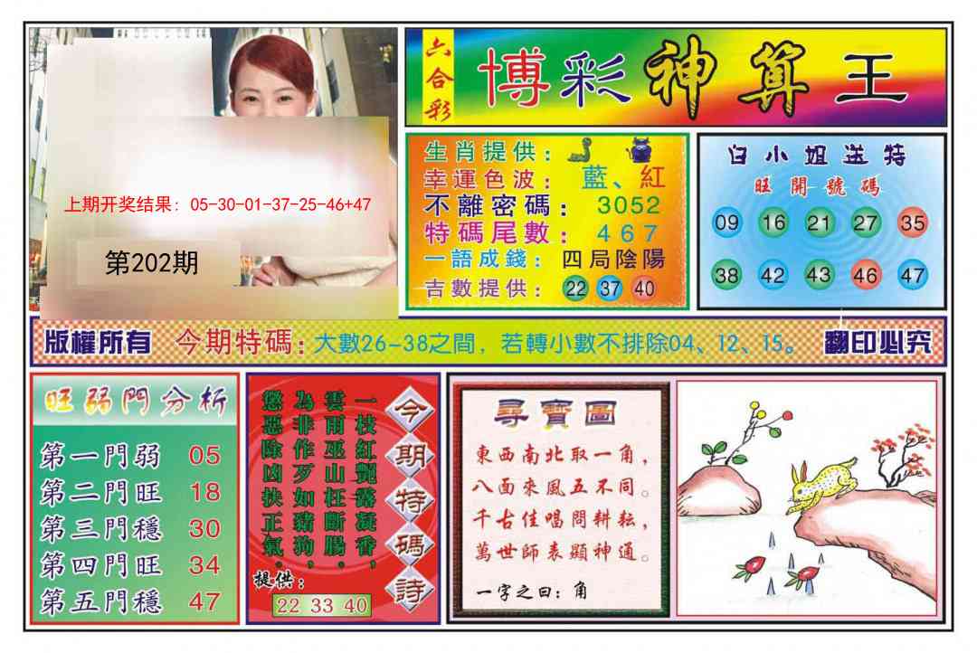 202期博彩神算王[图]