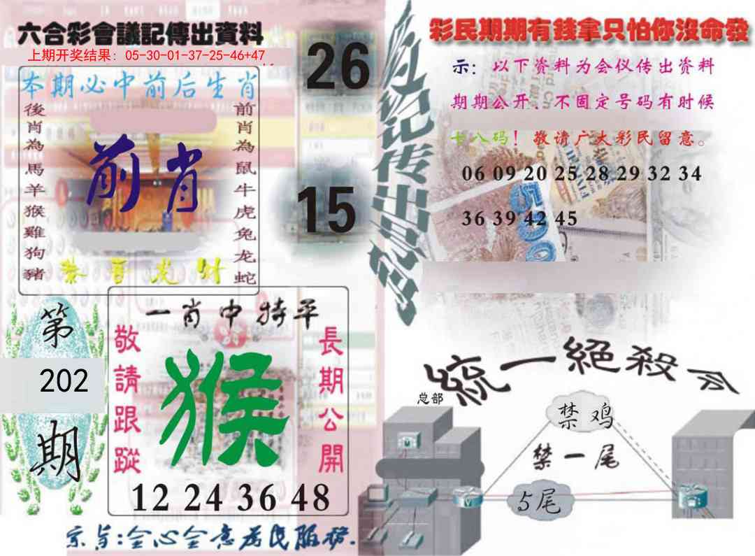 202期六合彩会议记录[图]