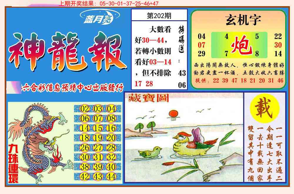 202期神龙报[图]