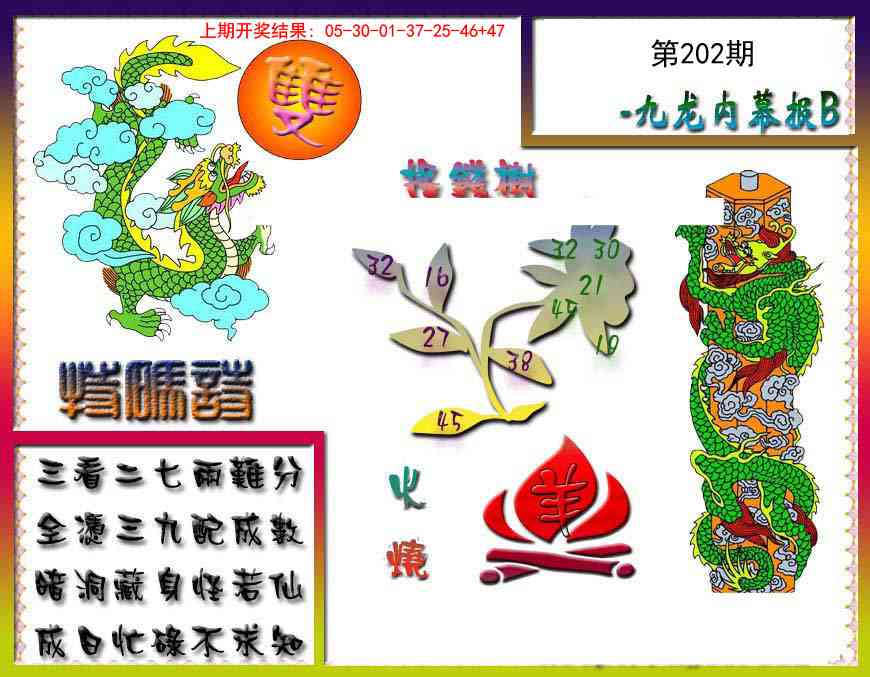 202期九龙内幕特肖图a[图]