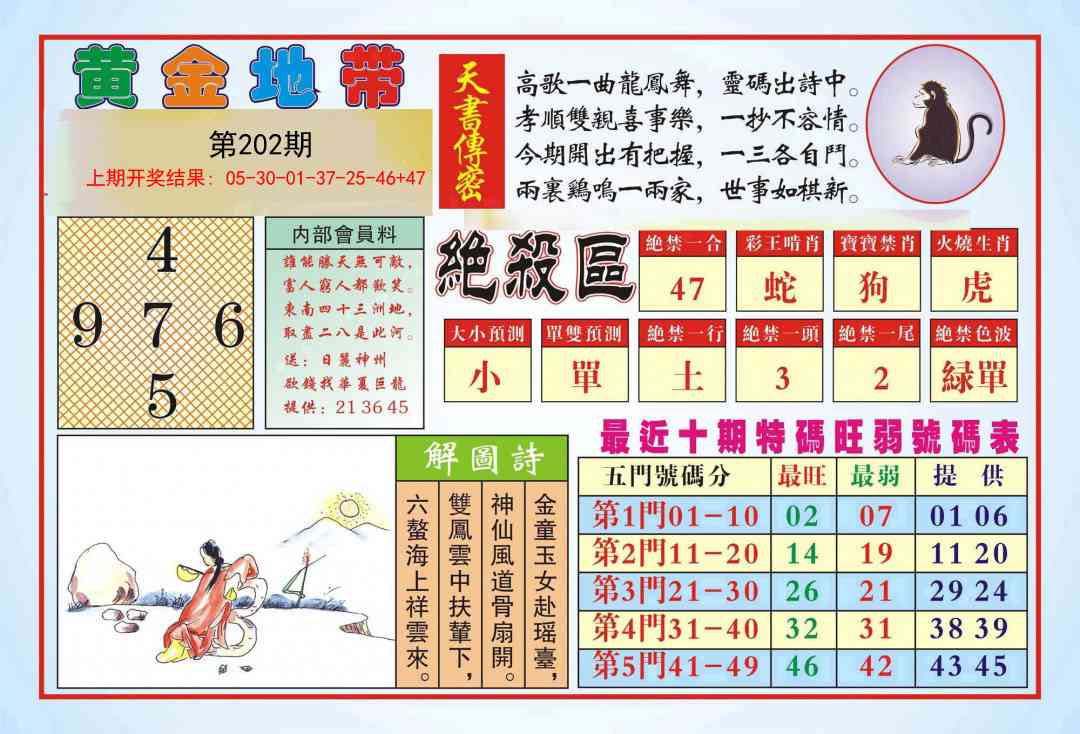 202期黄金地带[图]