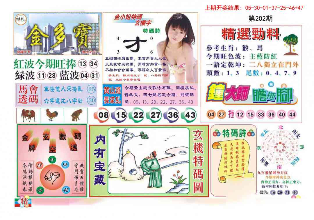 202期金多宝[图]